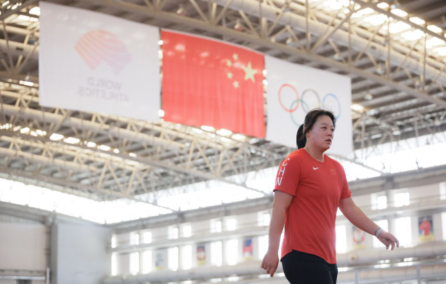 米乐m6下载对于新手的友好程度