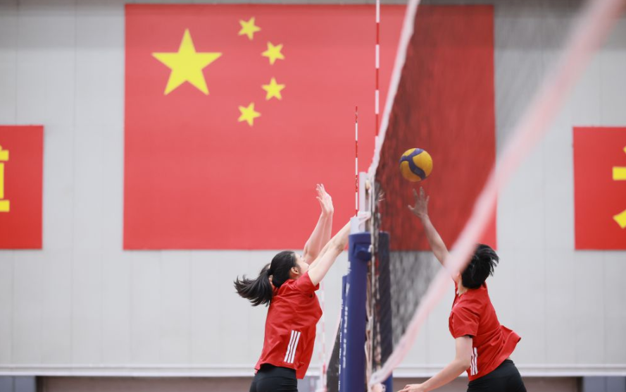 M6米乐网页版入口用户评价与反馈汇总